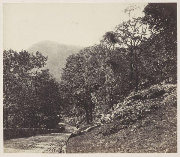 Roger Fenton, In the woods near Ullswater