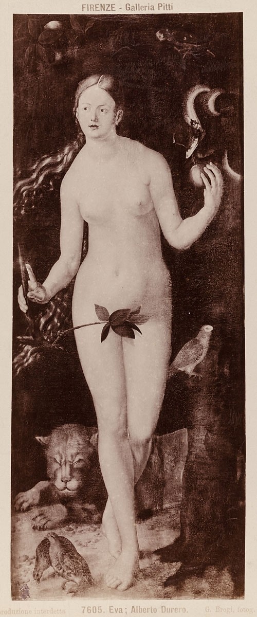 Giacomo Brogi, Firenze - Galleria Pitti: Eva, Alberto Durero