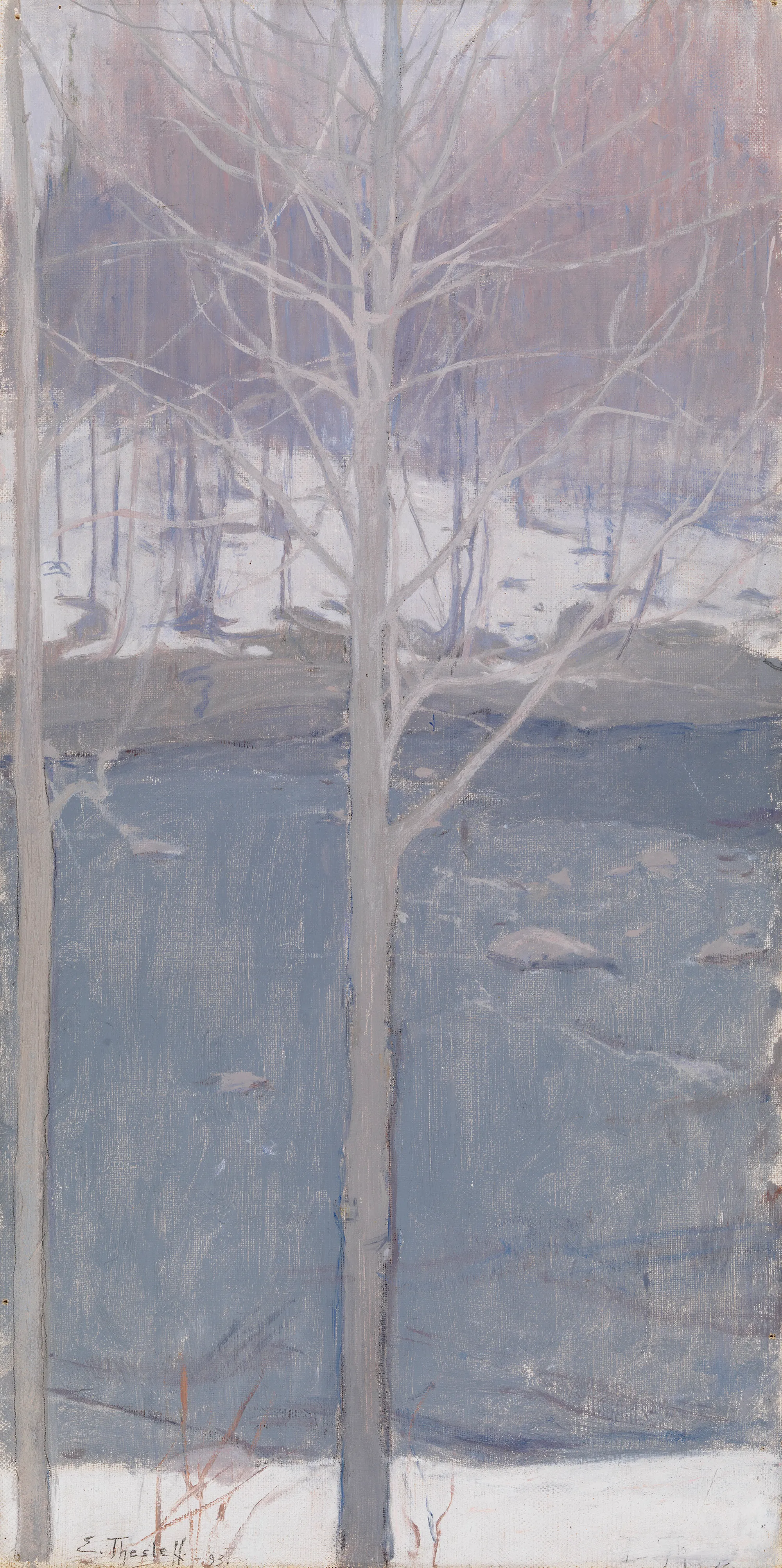 Ellen Thesleff, Aspens