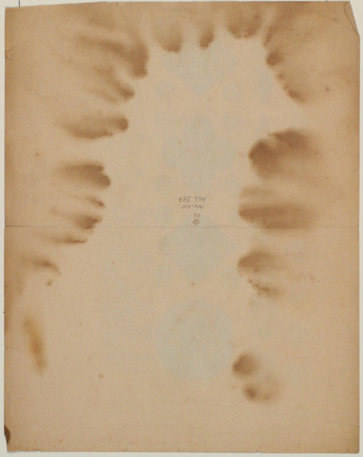 Niels Larsen Stevns, Blank
