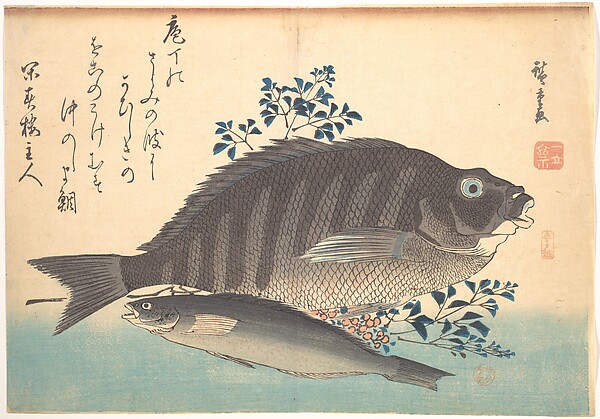 Utagawa Hiroshige, Shimadai and Ainame Fish, from the series Uozukushi (Every Variety of Fish)
