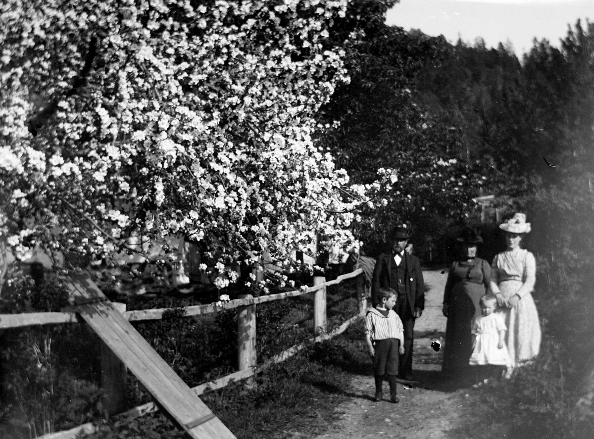 Juliane Fredrikke Langberg, Portrett av gruppe, 3 voksne og 2 barn ved siden av blomstrende frukttre innenfor tregjerde. Muligens tatt i Hurum eller Rakkestad. Muligens fotografens familie, sokneprest Holm med 2 av barna. Fra malerinne Juliane Fredrikke Langbergs (1856-1930) samling, tatt ca.1895-1910 med motivkrets slekt og …