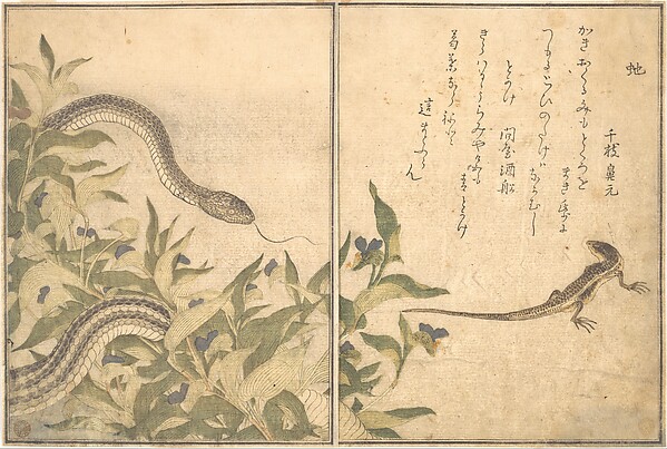 Kitagawa Utamaro, Rat Snake (Hebi); Lizard or Skink (Tokage), from the Picture Book of Crawling Creatures (Ehon mushi erami)