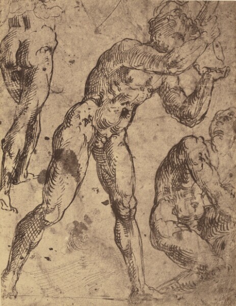 Roger Fenton, [Drawing of Male Nude Figure Studies by Raphael]