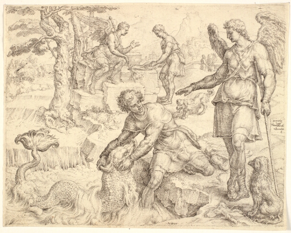 Maarten van Heemskerck, Tobias fanger fisken i Tigris