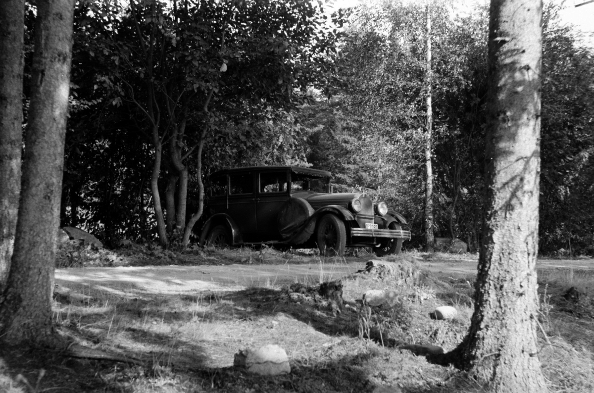 Adolf Skjegstad, ASK-01699