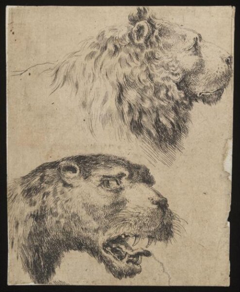 Unknown, Print