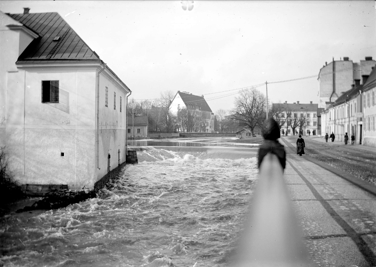 Ossian Wallin, Fyrisån, Akademikvarnen and Östra Åså, Uppsala
