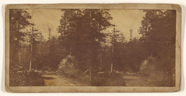 Unknown, [Forest view] (recto); [Unidentified French city] (verso)