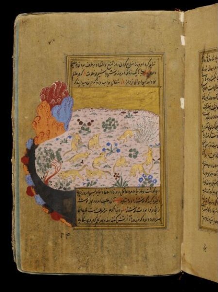 Unknown, Anvar-i Suhayli