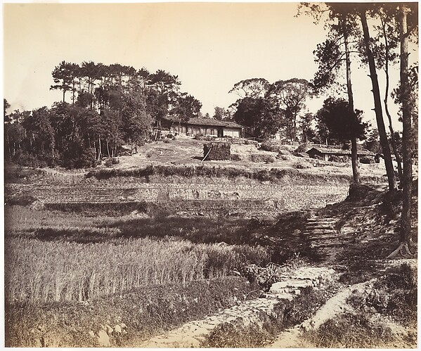 John Thomson, Teahouse at Peking