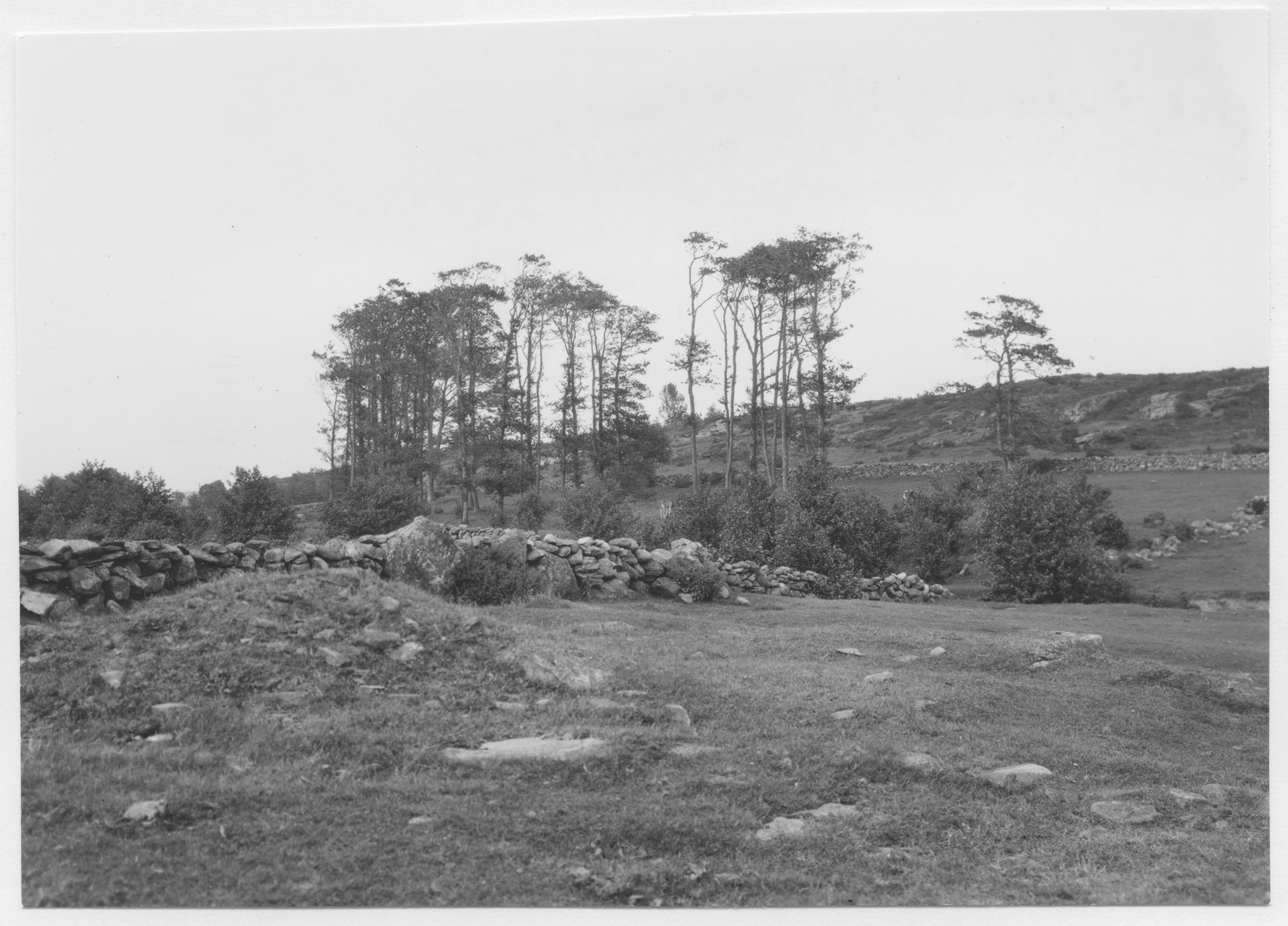 Mårten Sjöbeck, Värö