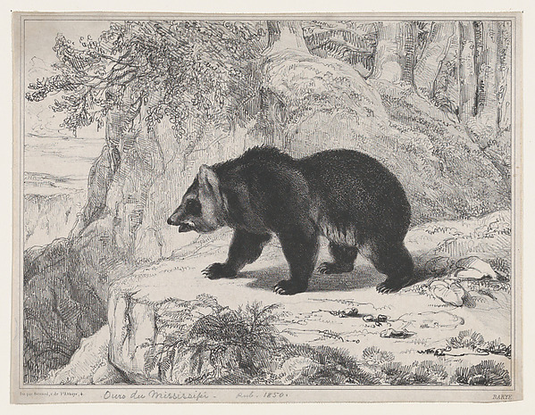 Antoine-Louis Barye, Mississippi Bear