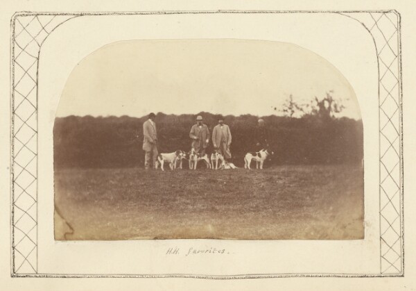 Unknown, [The monarch's favorite dogs]