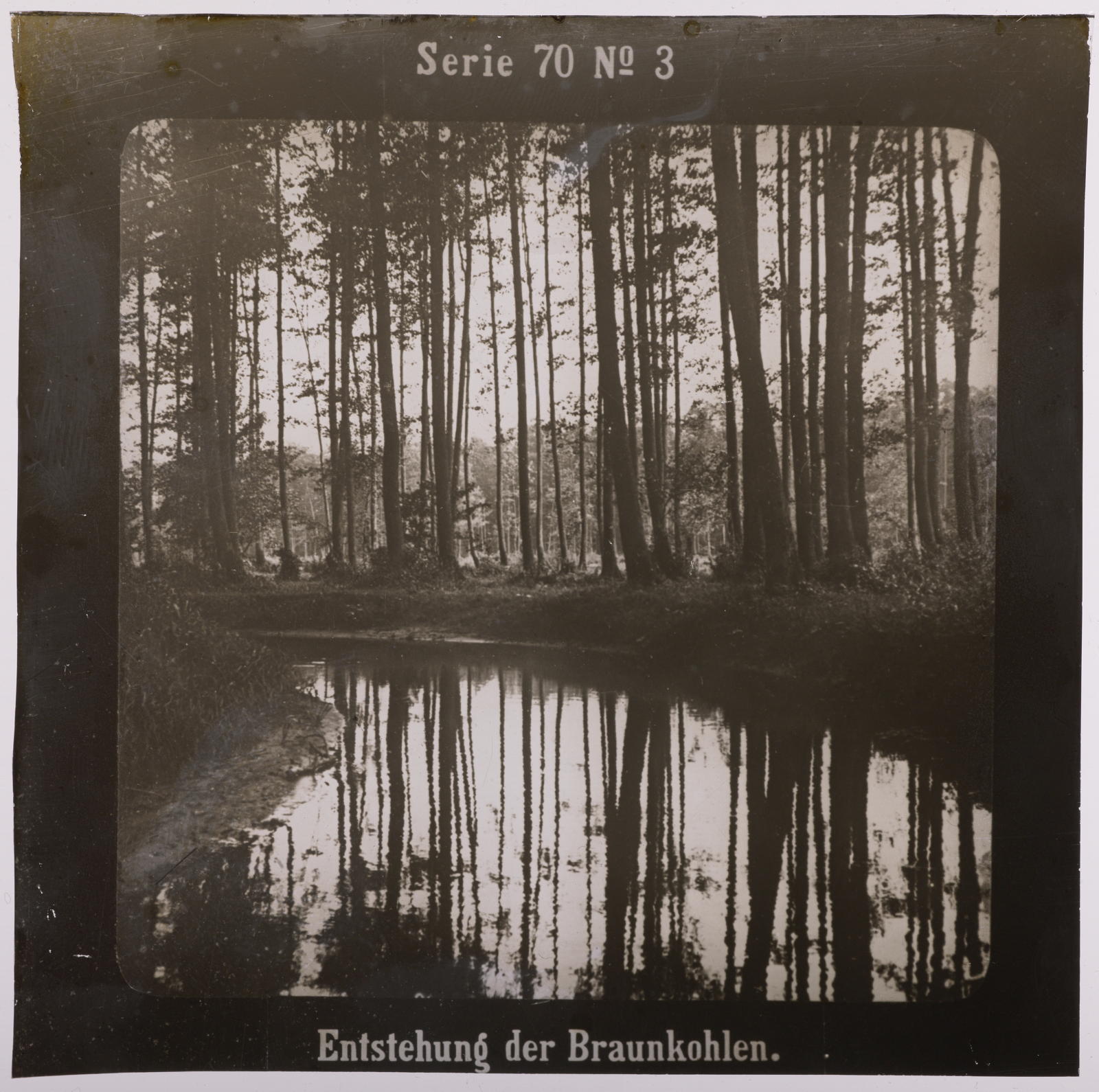 Desconegut, Entstehung der Braunkohlen Projection für Alle