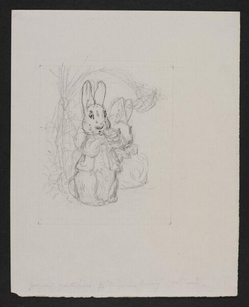 Potter, Beatrix, drawing