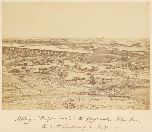 Felice Beato, [Pehtang, "Probyn's Horse," in the Foreground]