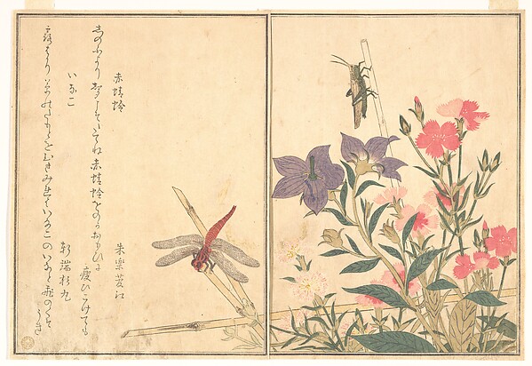 Kitagawa Utamaro, Red Dragonfly (Akatonbo); Locust (Inago), from the Picture Book of Crawling Creatures (Ehon mushi erami)