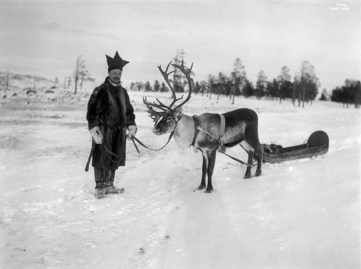 Anders Beer Wilse, Prot: Bosekop - Pulkkjøring med Ren Skogforv. Sandbu 2/3 1910