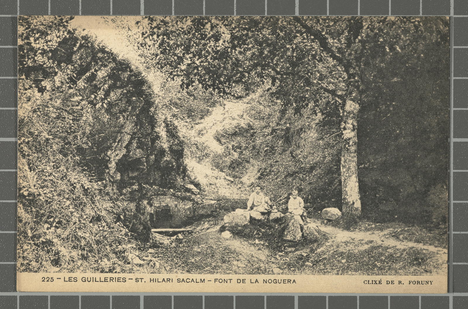 R. Foruny, 225 Les Guilleries - St. Hilari Sacalm - Source of Walnut