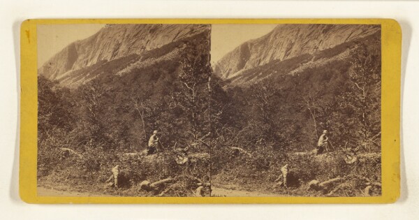 Edward and Henry T. Anthony & Co., East Side of Cannon Mountain. [White Mountains]