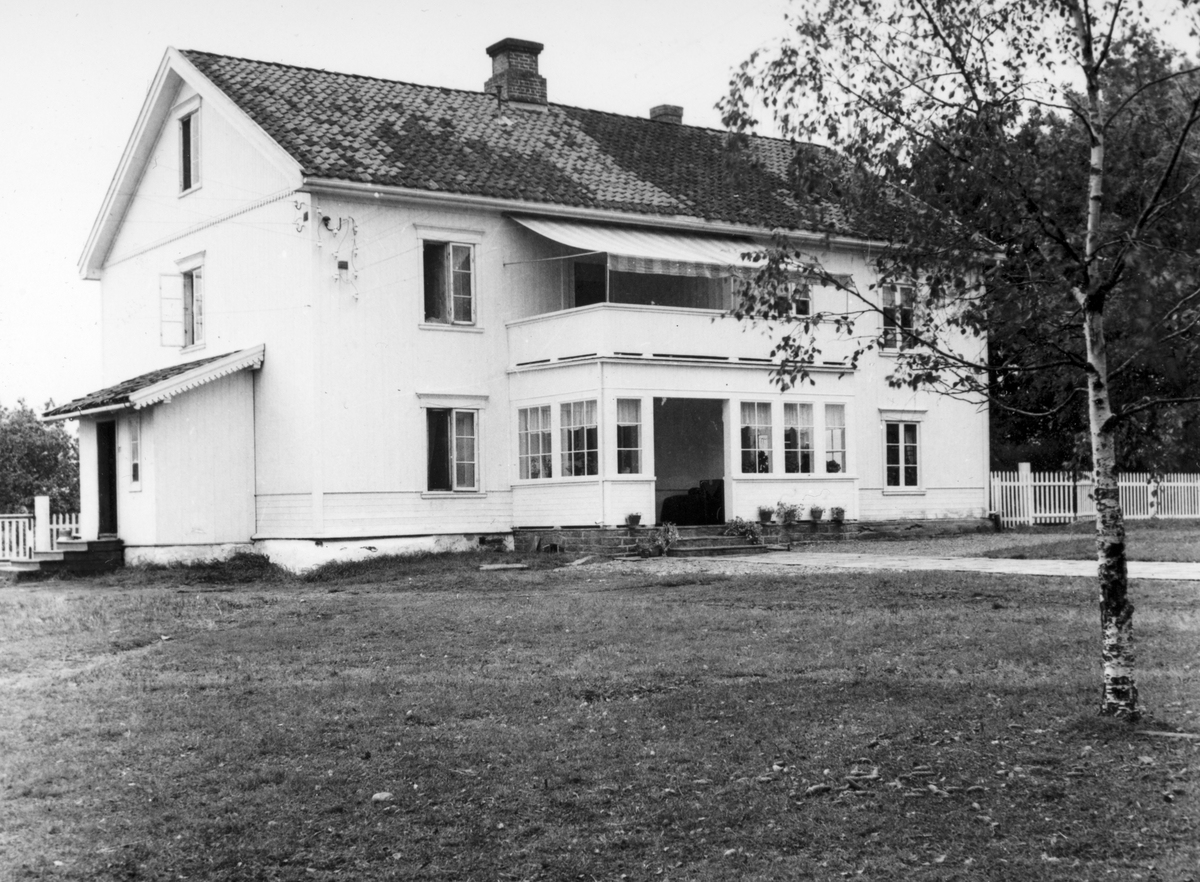Anno Domkirkeodden, Dyri gard i Løten.