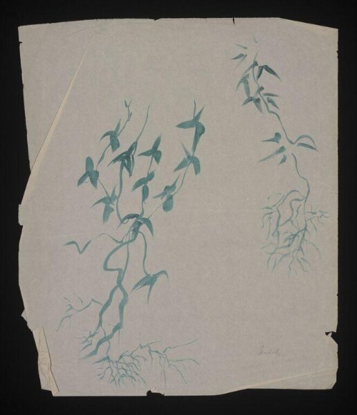 Beaton, Cecil (Sir), Drawing