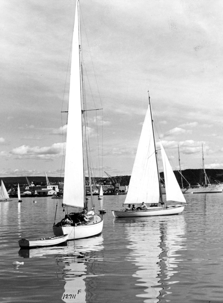 Anders Beer Wilse, Seilsport