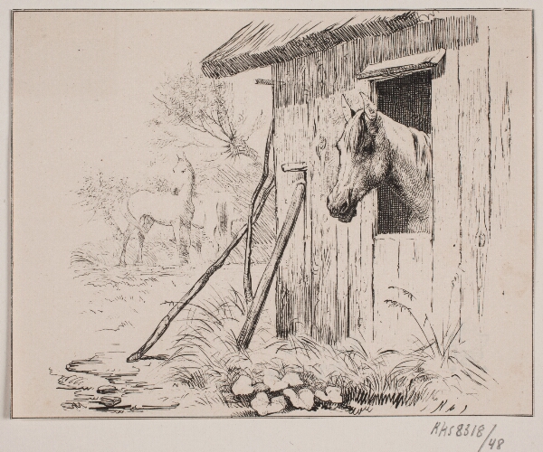 Adolph Kittendorff, Møllehesten