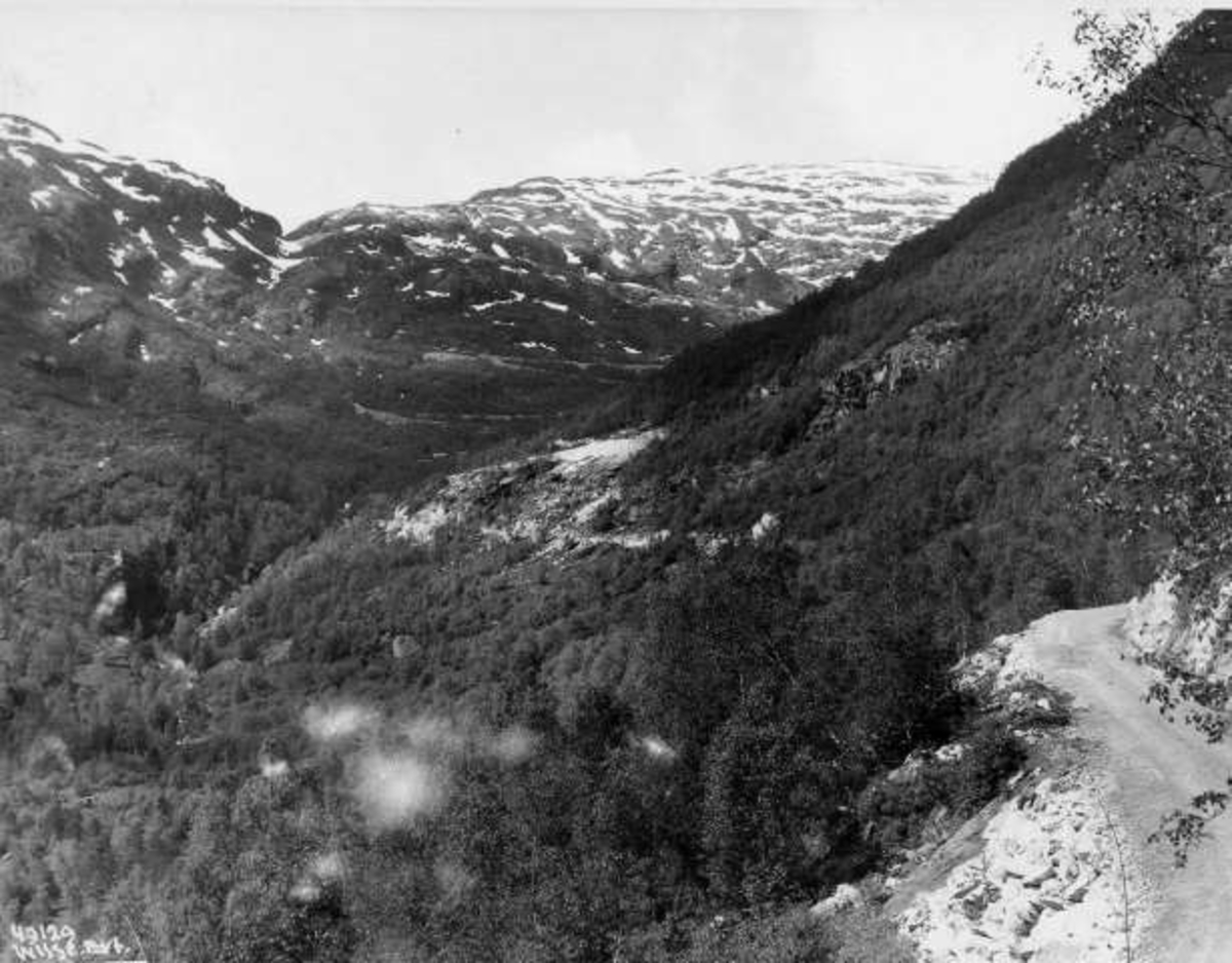 Anders Beer Wilse, -6575