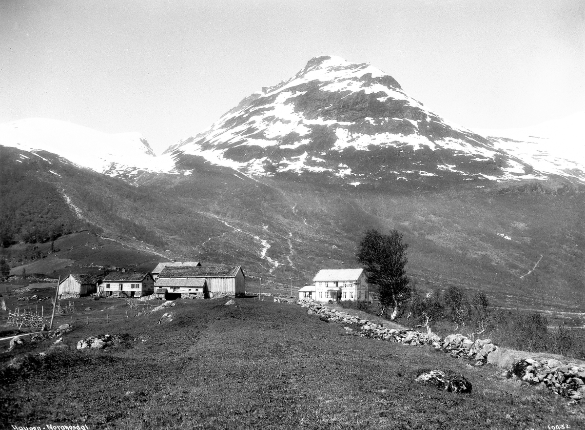 Anders Beer Wilse, Prot: Norangsdalen Haugen 1909