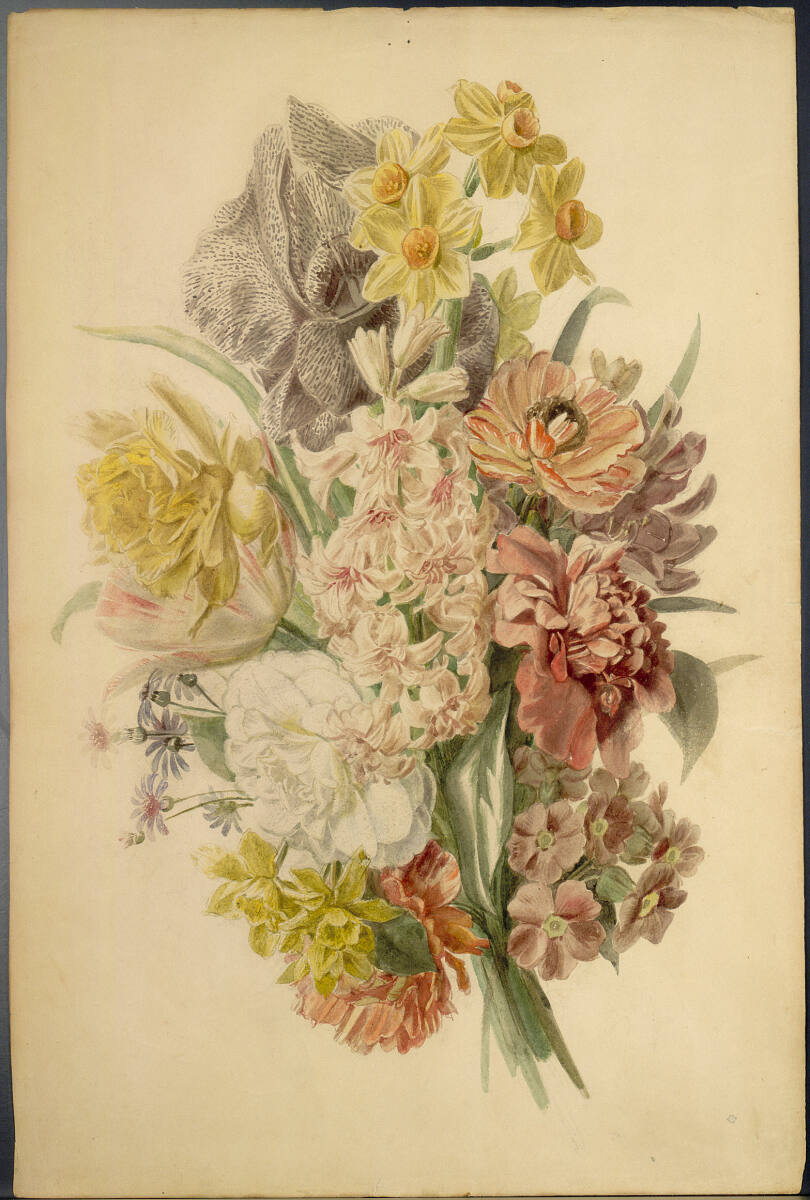 Anonym, Blumenstudie