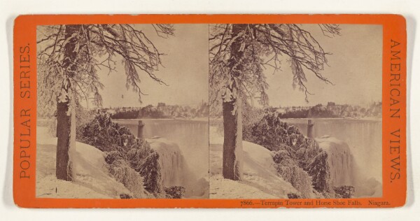 Edward and Henry T. Anthony & Co., Terrapin Tower and Horse Shoe Falls. Niagara.