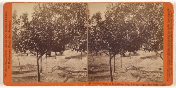 Carleton Watkins, At the Residence of L.J. Rose, Esq. Sunny slope, San Gab'l