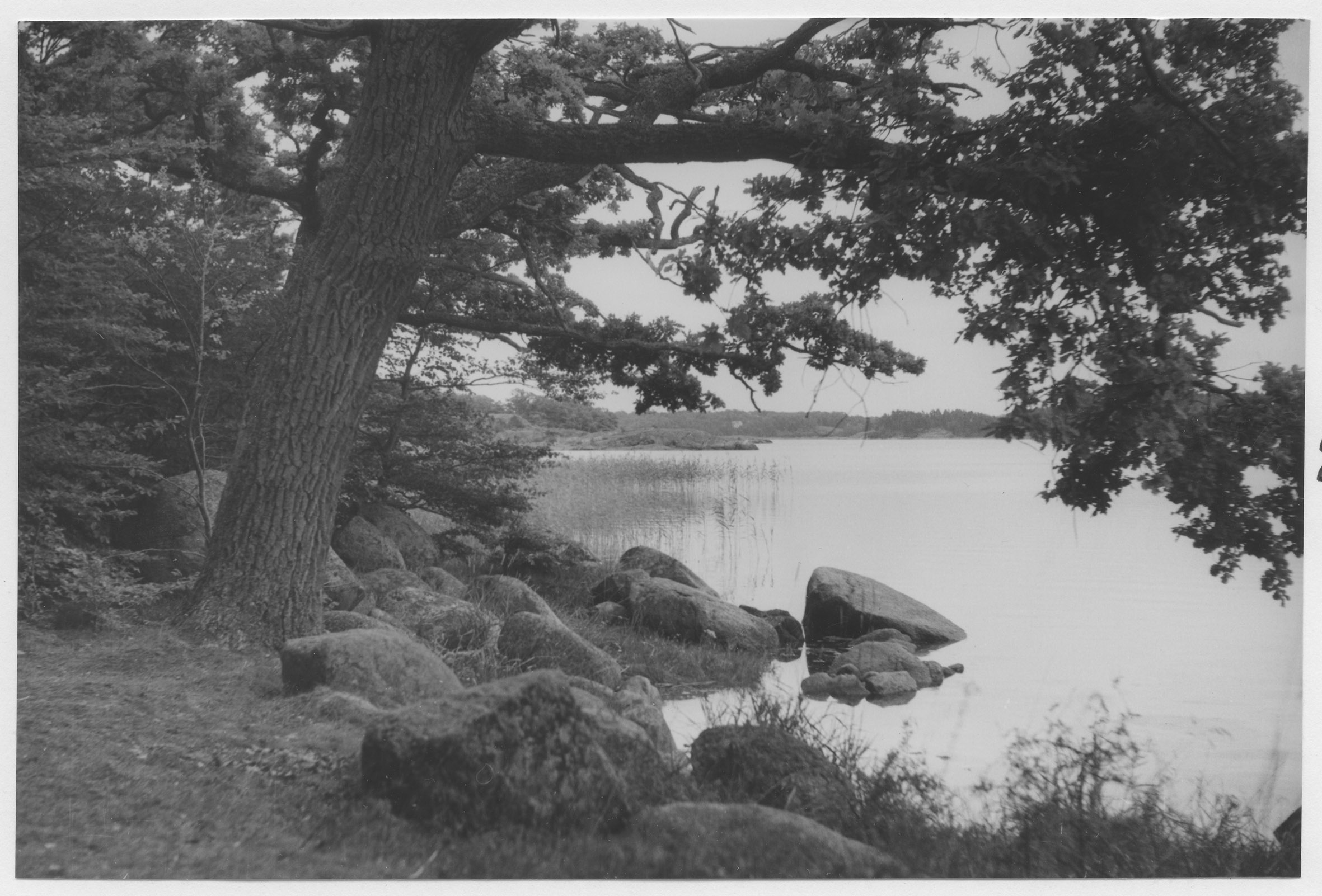 Mårten Sjöbeck, Skärva