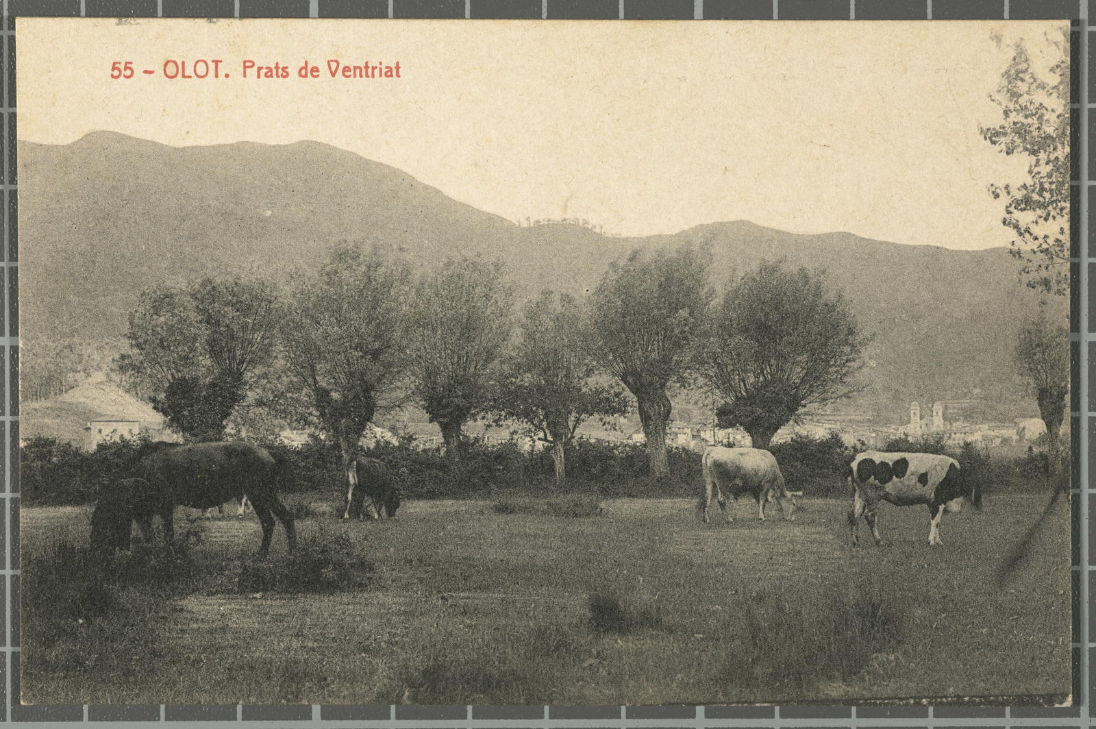 Desconegut, 20 - Olot. Prats de Ventriat