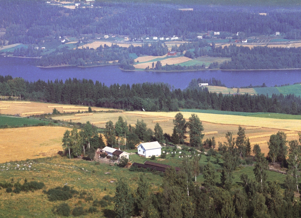 Widerøes Flyveselskap A/S, Flyfoto, Fagerheim, Ringsaker.