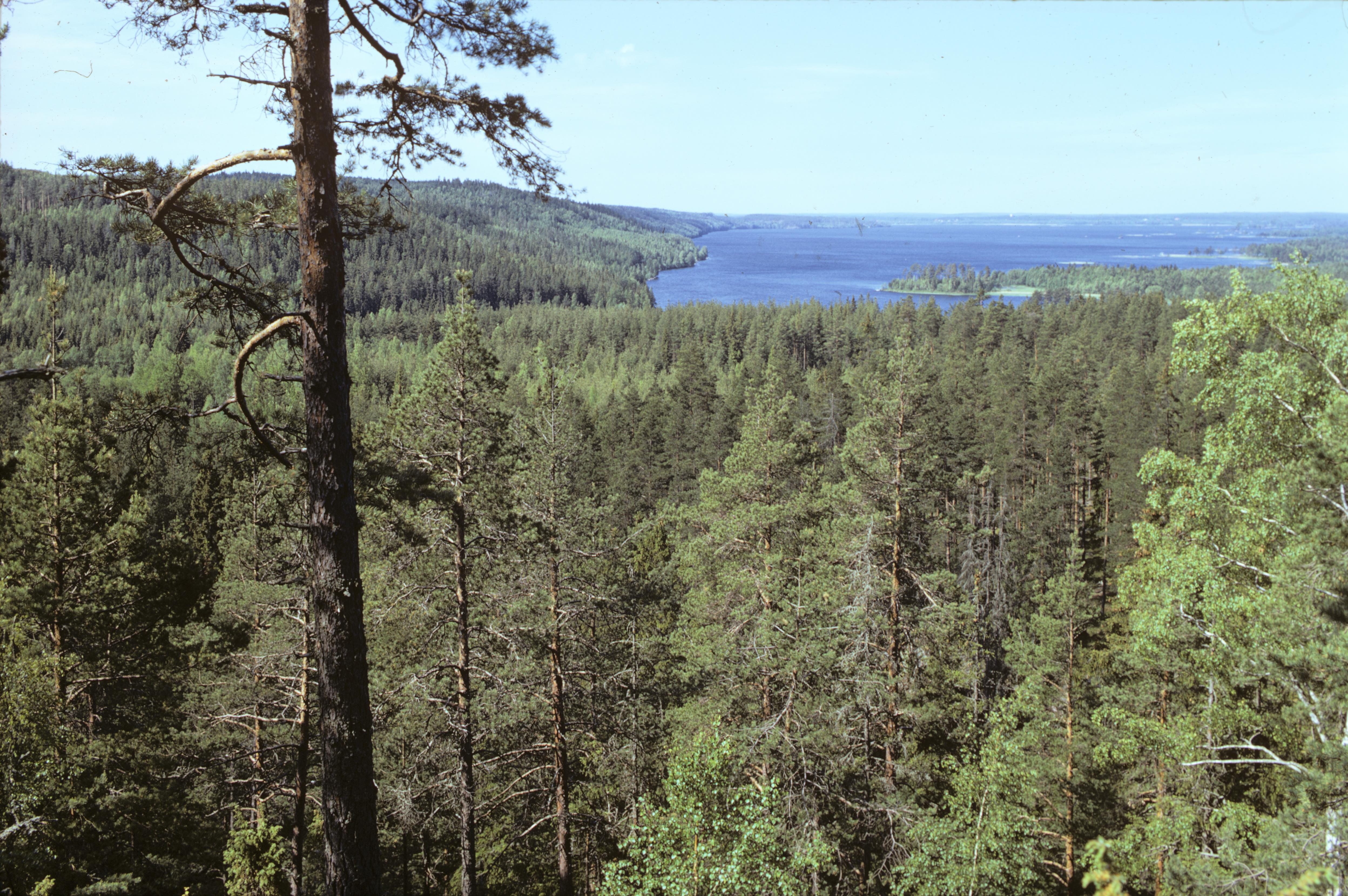 Pål-Nils Nilsson, Skåleklint
