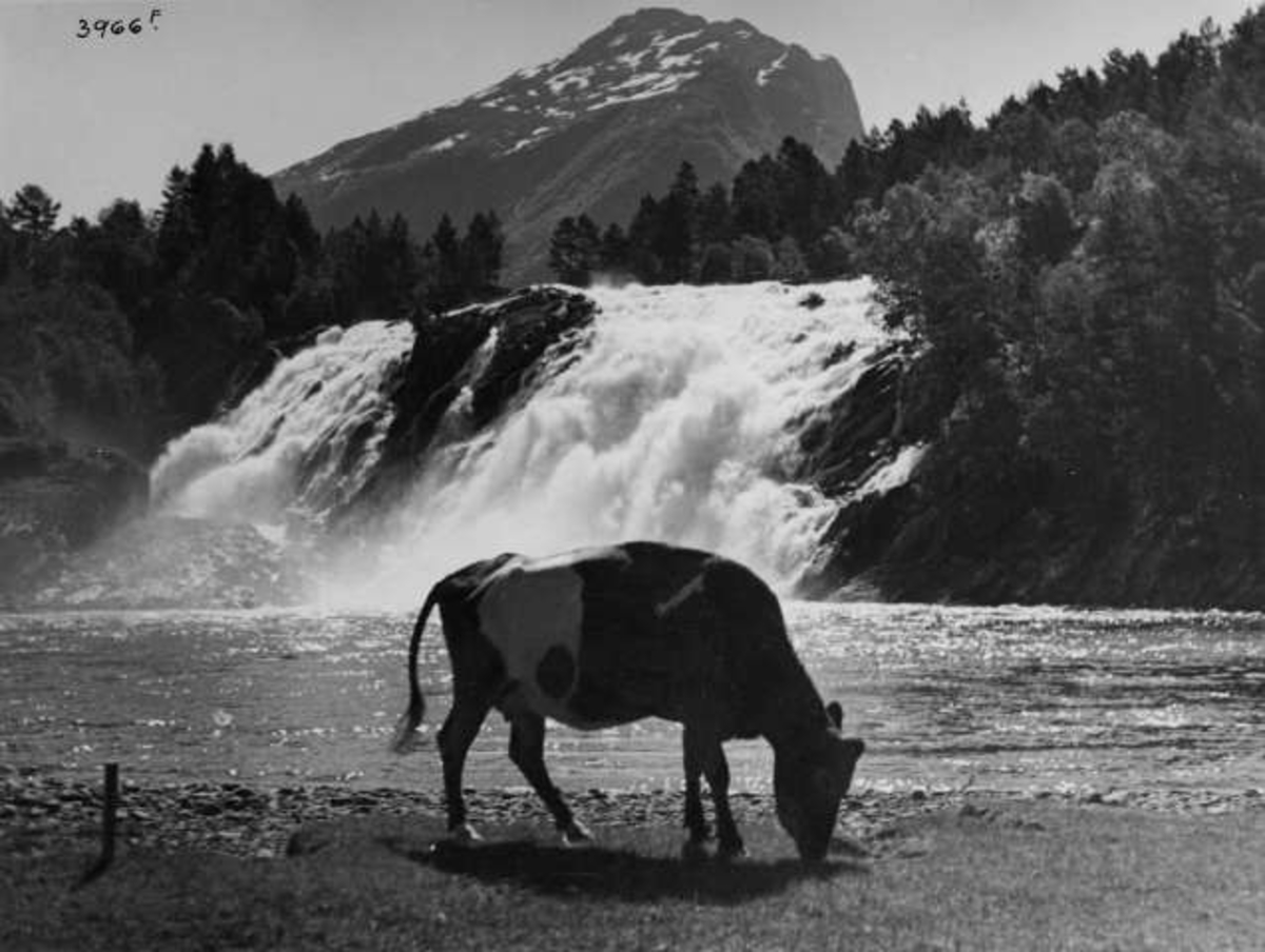 Anders Beer Wilse, -6965