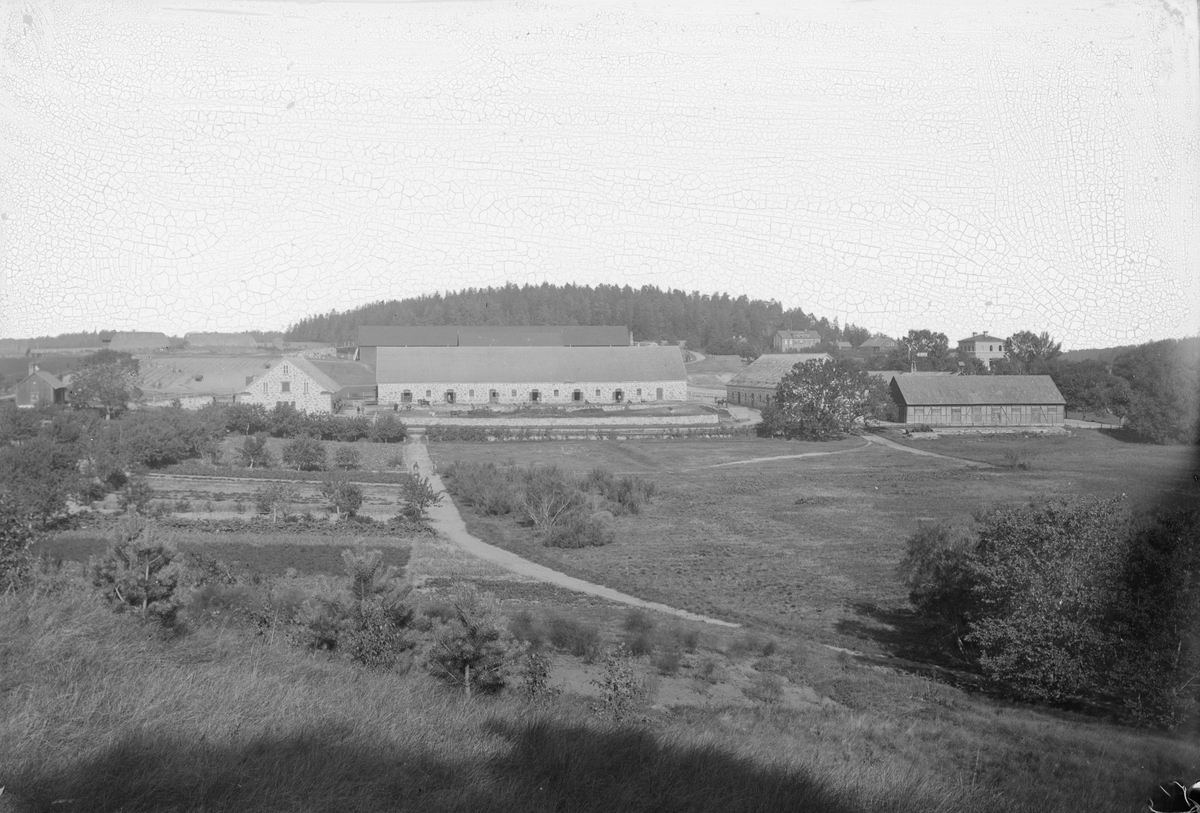 Henri Osti's Fotografiateliér, Bebyggelse vid Ultuna lantbruksinstitut, Uppsala 1887