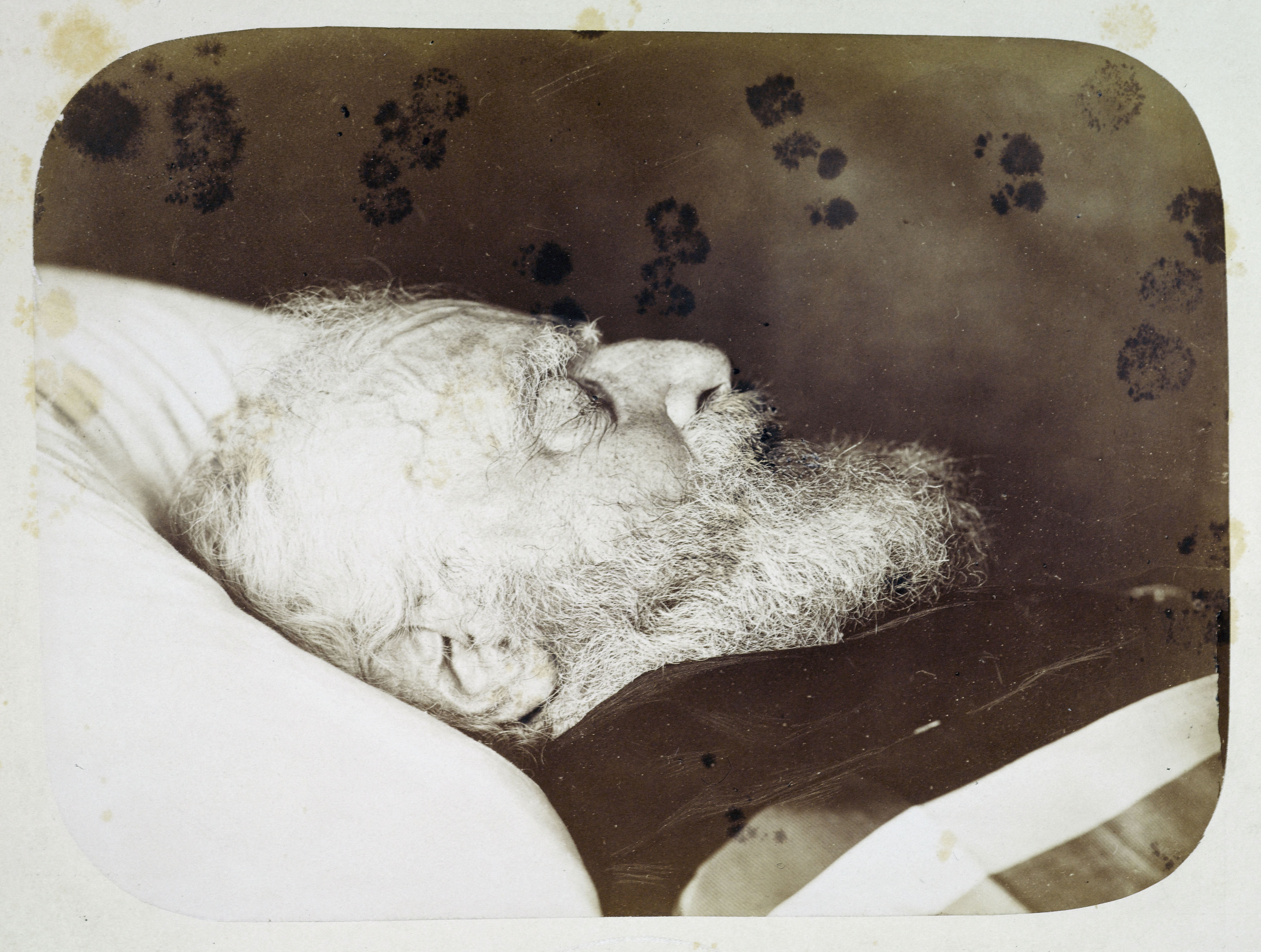 Etienne Carjat, Portrait du compositeur français Charles-François Gounod (1818-1893) sur son lit de mort.
