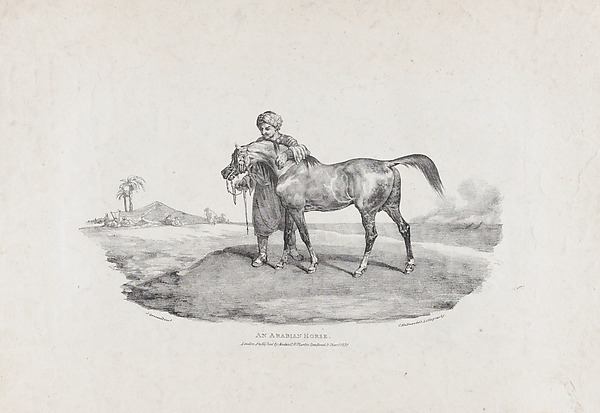 Théodore Géricault, An Arabian Horse