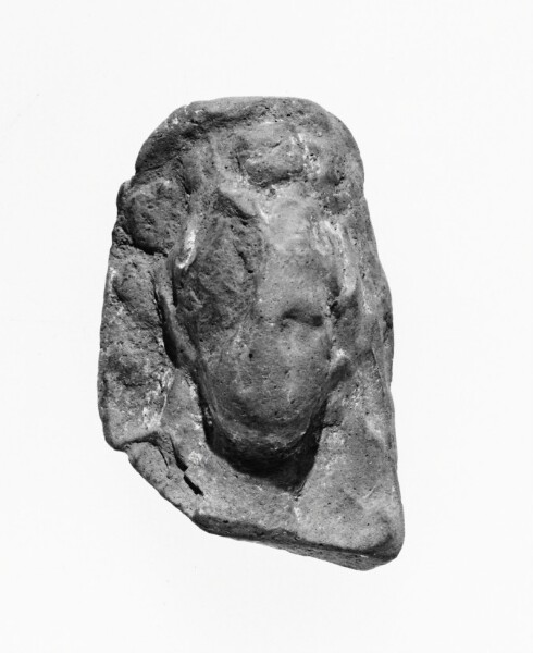 Unknown, Female Head