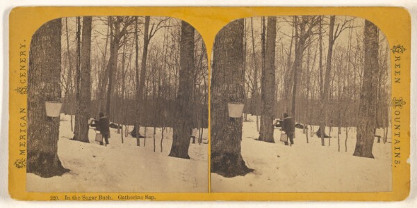 Unknown, In the Sugar Bush. Gathering Sap. [Green Mountains]