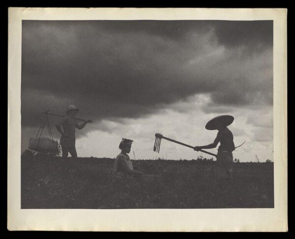Hardy, Bert, People working in the countryside