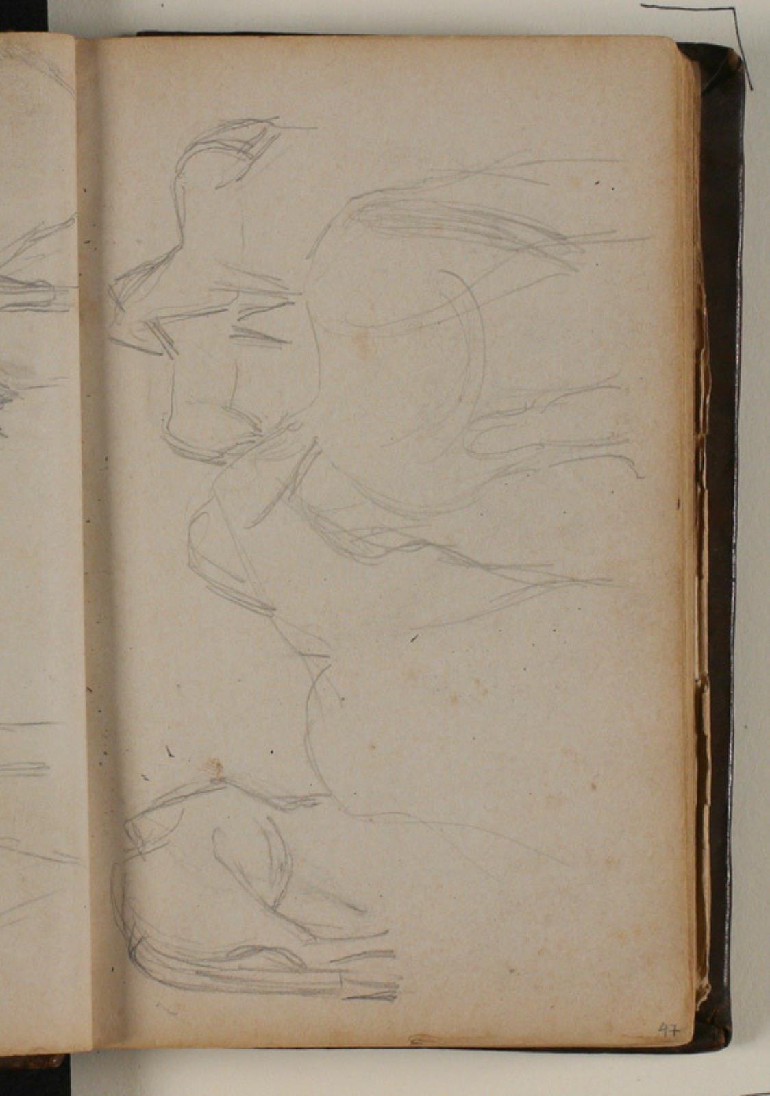 Niels Larsen Stevns, Studier af heste