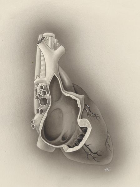 J Tinkelenberg, Heart