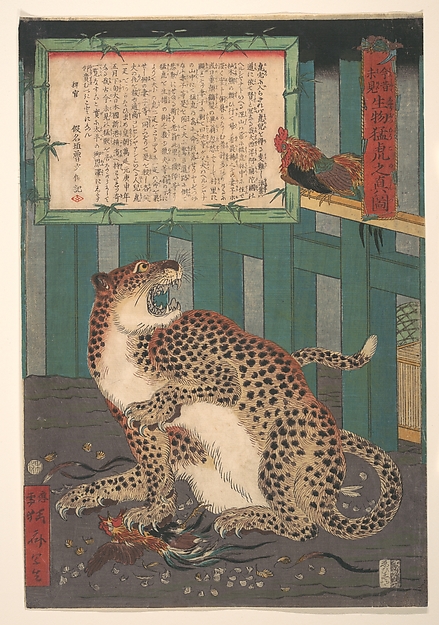 Kawanabe Kyōsai 河鍋暁斎, Never Seen Before: True Picture of a Live Wild Tiger (Konjaku miken, Ikimono mōko no shinzu)