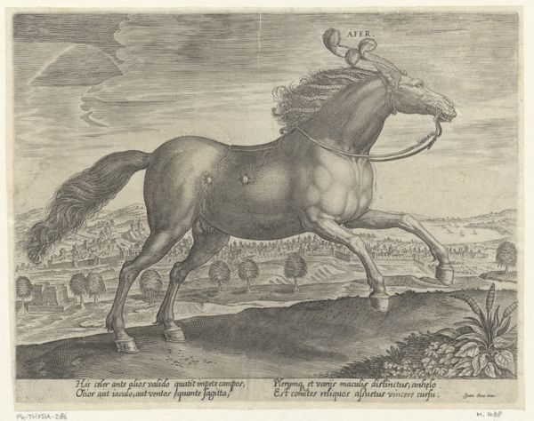 Collaert, Hans, (approximately 1530-1581), (printmaker), The stable of Don Juan of Austria: Afer