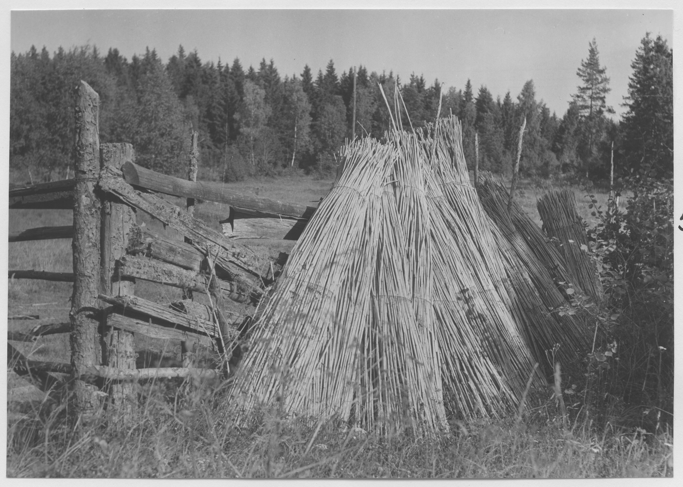 Mårten Sjöbeck, Utål